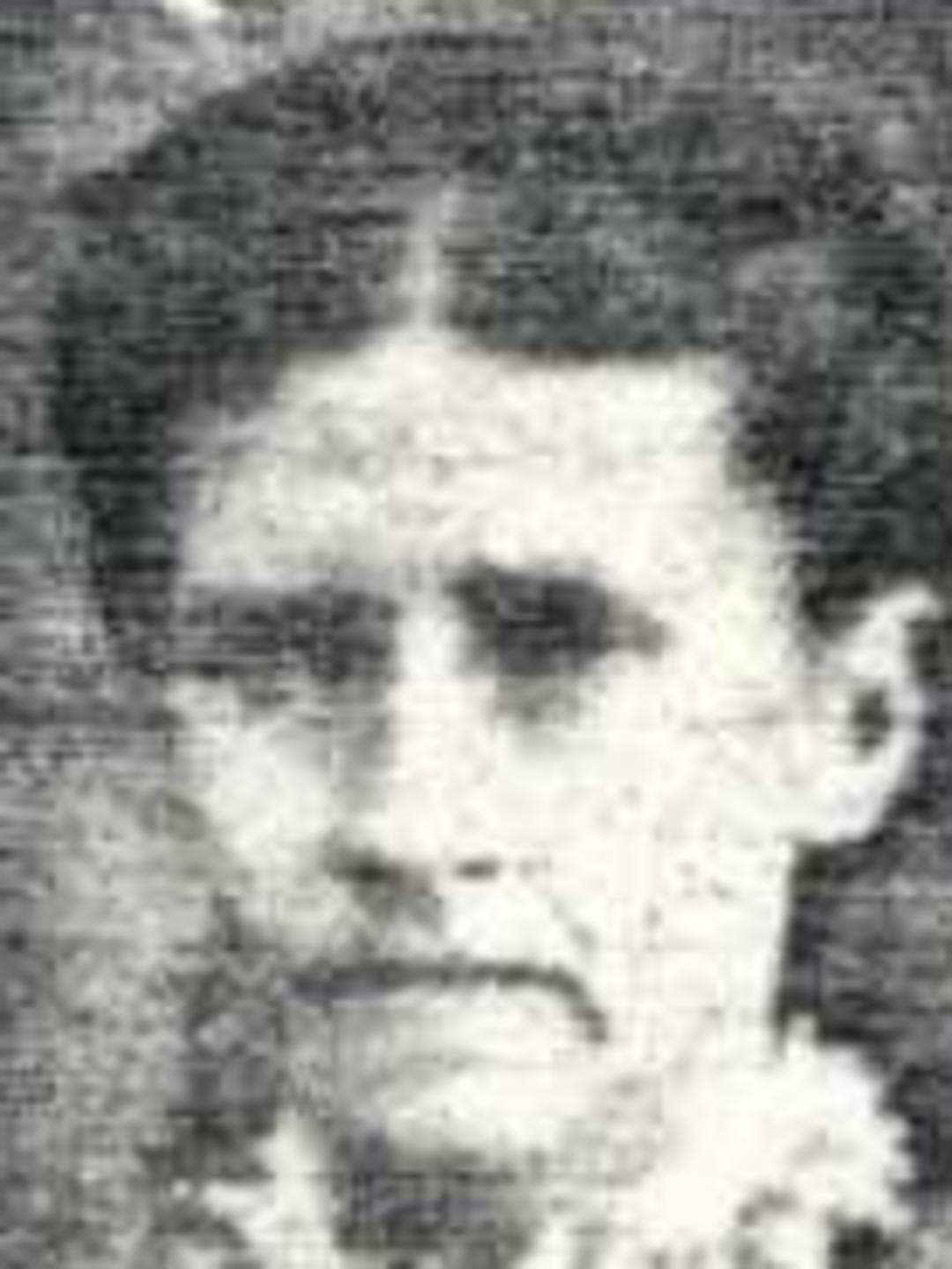 Mary Ann Brewer (1838 - 1895) Profile